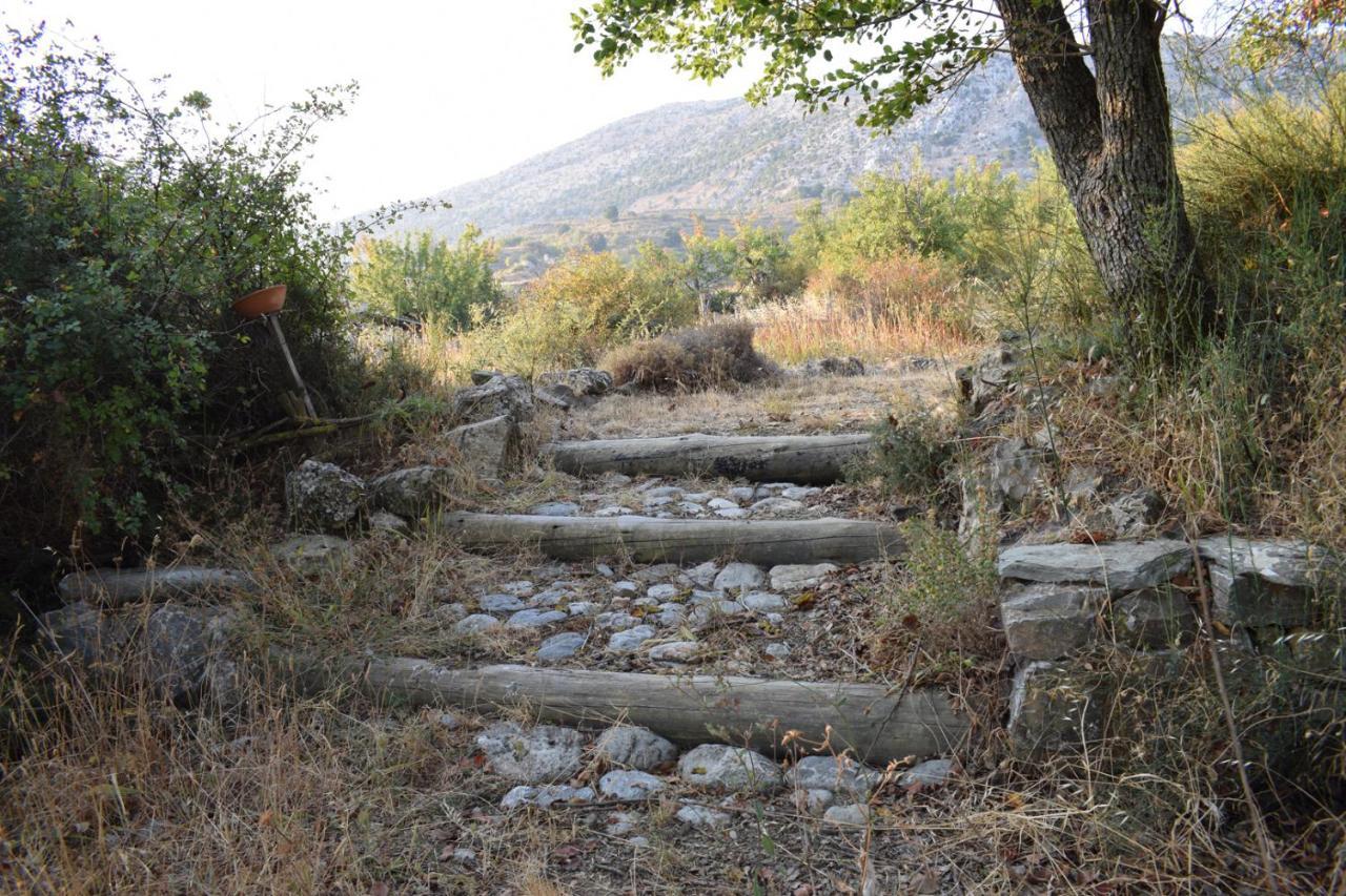 Gasthof Lasinthos Eco Park 4*