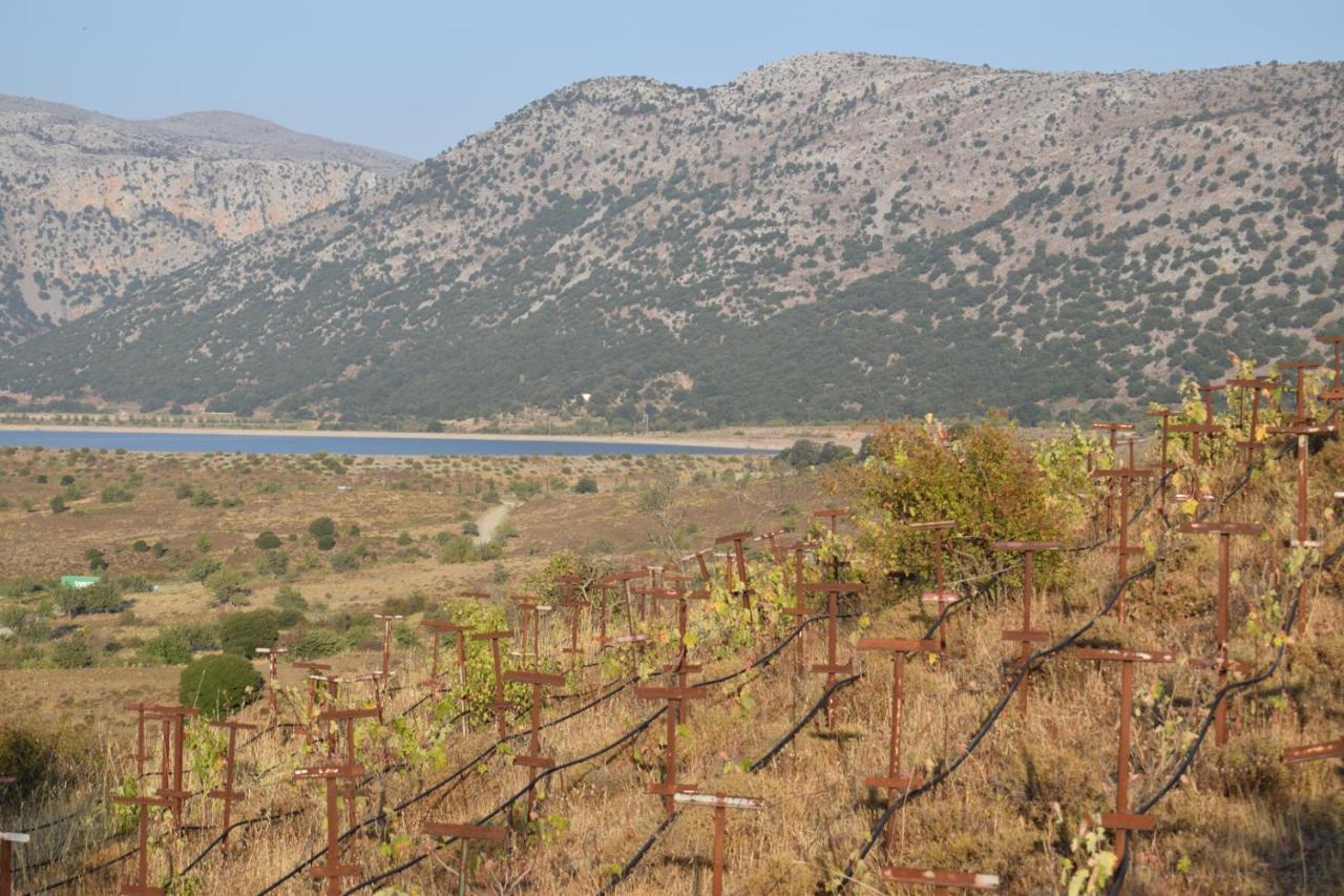 Lasinthos Eco Park Gasthof Agios Georgios (Lasithi)